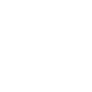 support-icon