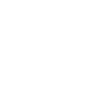 what-we-icon